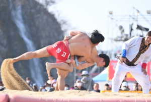 청송군, 스포츠대회로 사과축제 시너지 낸다!