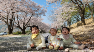 칠곡군,‘2023년 인구정책 사진공모전’수상작 10점 선정