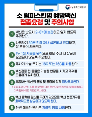 경북도, 럼피스킨병 긴급 백신접종 시작!