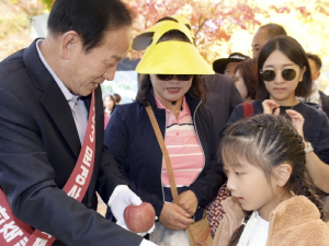 문경새재 사과공원 수확 사과나눔행사