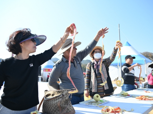 청송사과축제 연일 금빛향연‘관광객 북적’