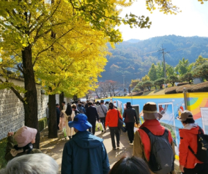 김천시 스냅 사진전 야외 전시 성황리에 마무리