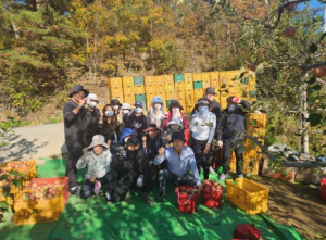 영덕군 주민복지과 직원들, 농촌 일손돕기 봉사활동