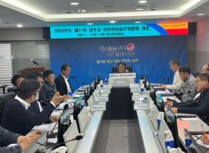 경주시, APEC 경주유치 기원 슈퍼콘서트 안전관리에 만전