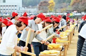 청송사과축제 이모저모