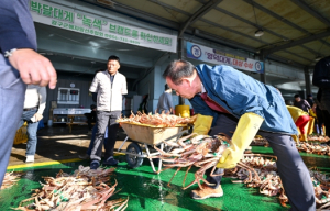 영덕군, 2023년 대게 첫 경매로 시즌 개시