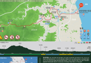 울진 동서트레일 걸으며‘숲의 We로’받으세요