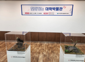 대구동부도서관, ‘찾아가는 대학박물관’ 전시 개최