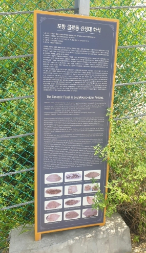 포항 금광동층 신생대 화석산지, 국가지정유산(천연기념물) 지정예고