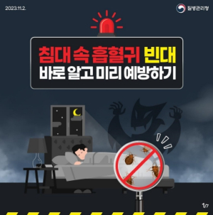 대구광역시, 빈대 확산 방지 및 관리 강화에 나선다!