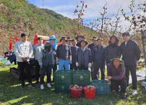 영덕군농업기술센터 직원들, 낙과 피해 농가서 봉사활동