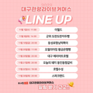 온라인플랫폼 활용 대구관광상품 판로개척 지원 사업, 이월드 상품 방송으로 신호탄