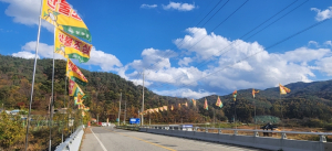성주군, 산불없는 금수강산 만들기 프로젝트