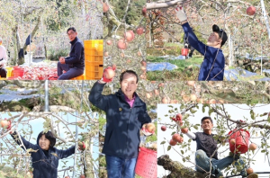 청도군의회, 다문화 농가 일손돕기에 나서