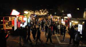 고령군, 2023 지산동 고분군 야간행사