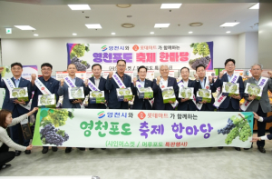 영천포도, 전국 롯데마트에 재입점 판매 개시