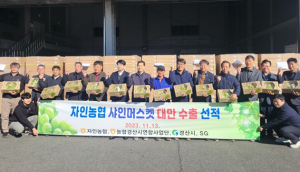 경산 자인농협, 샤인머스캣 대만 수출 선적식