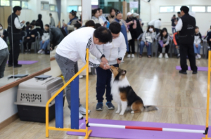 2023 달성군 첫 청소년 진로 축제 ‘우리 모두 꿈을 JOB GO’운영