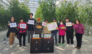 상주시, 스마트팜 혁신밸리에서 토마토 수확 체험