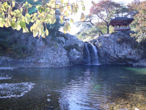 경북도, 상주·문경 속리산둘레길 국가숲길 지정