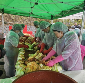 경산시새마을부녀회, 사랑의 김장 담그기 행사 가져
