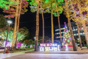 대구북구, 빛 거리 운영