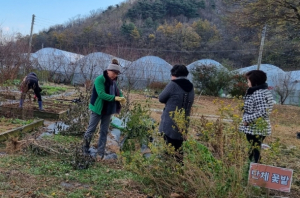 김천시, 올 한 해 새마을 텃밭에서 생명을 키웠어요!