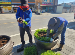 성주군 선남면, 청보리 식재로 소재지 새단장