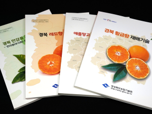경북도, 아열대작물 소득화 기반 마련 가속화