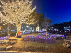 상주시, 시청 주변 은하수 경관조명 설치