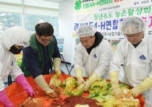 안동시 4-H 연합회, `김장배추 나눔 봉사활동` 진행