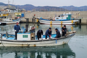 경주시, 명품 해삼종자 12만 8천 마리 방류