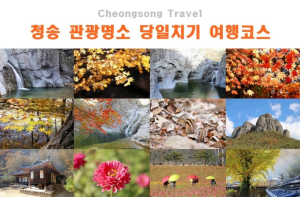 2023 청송군 SNS 콘텐츠 공모전 당선작 발표
