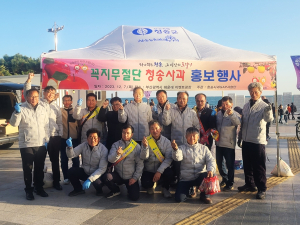 청송군, 꼭지 무절단 청송사과 장점 알리기 앞장!