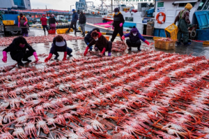 울진군 죽변의 겨울, 이보다 더 좋을 순 없다!