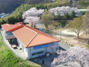 고령군, 2024년 상반기 대가야교육원 수강생 모집