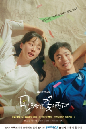 포항시, 호미곶·구룡포 배경 ENA 드라마 ‘모래에도 꽃이 핀다’ 20일 첫방