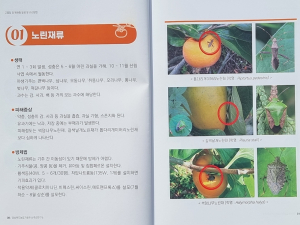 경북도, 이상기후 대응‘떫은감 병해충 방제법’한 권에 담아