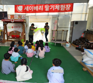 세이베리 딸기농원, 군위군 드림스타트에 6년째  딸기 후원