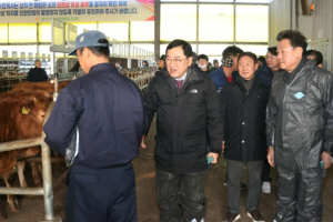 주낙영 경주시장, 한우농가 현장 방문…  애로사항 청취