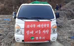 영주시, 2025년 소나무재선충병 방제사업 시행