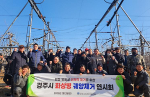 경주시, 과수화상병 예방 전염원 사전 제거 집중기간 운영