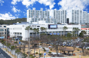 영천시, 장애인·노인 전동보조기기 배상책임보험 가입 지원