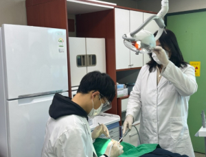 울진군, 어르신 무료 스케일링 지원
