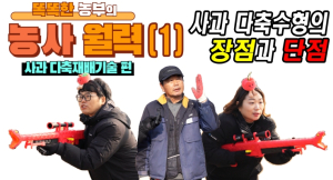 경북도, 사과 다축재배의 궁금증, 클릭 한 번으로 해결!
