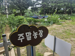 대구공공시설관리공단 북부사업소,  2025년 주말농장 무상 분양 실시