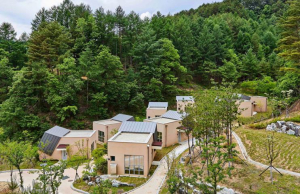 울진군, 코레일 관광개발과 산림관광 활성화 사업 실시