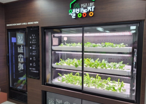 대구시 서구, ˝인동촌 스마트 웰빙농장, 도시재생 선진 사례로 해외 발돋움˝