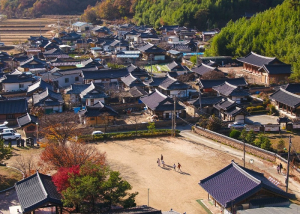고령군, 시.군별 대표관광상품 지원사업 7년 연속 공모선정