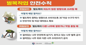 경북도, 벌목 작업 현장, 안전사고예방 교육 강화!